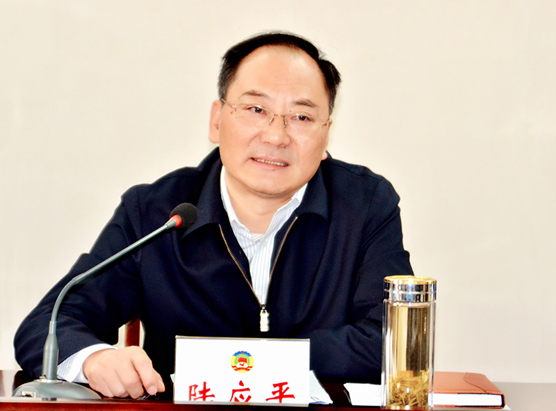 陆应平出席区政协八届九次常委会议暨推进我区"城市双
