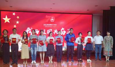 团大观区委2019年第四季度“一季一晒”总结材料